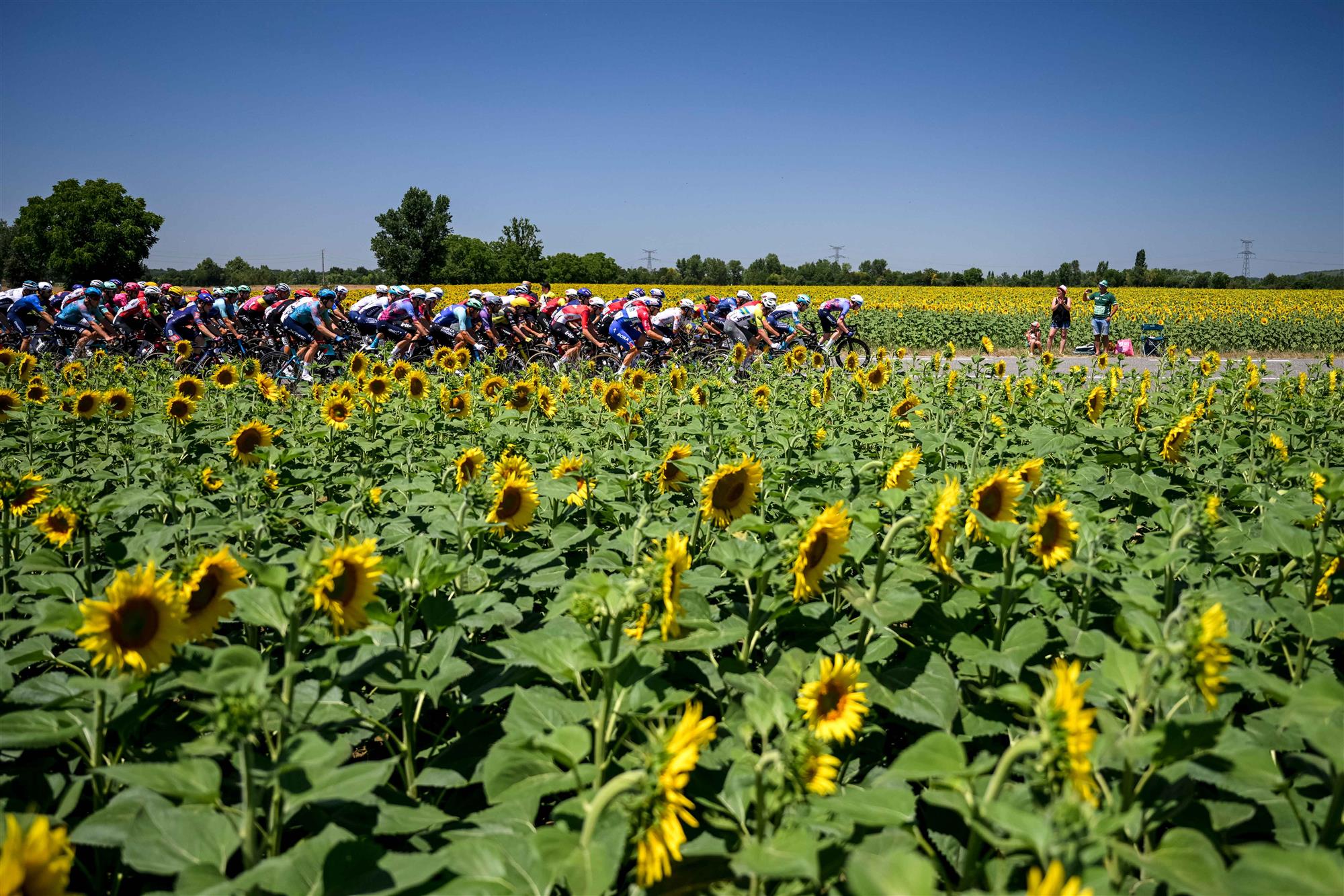 Tour de France - Sostenibilit&agrave;